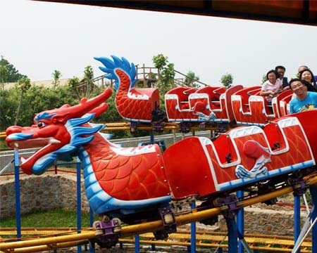 Roller Coaster Slide Dragon from China