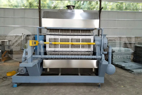 Paper Pulp Molding Machine for Sale