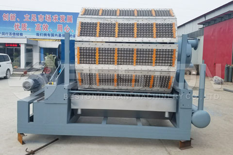 Get A Suitable Paper Egg Tray Machine India from Beston