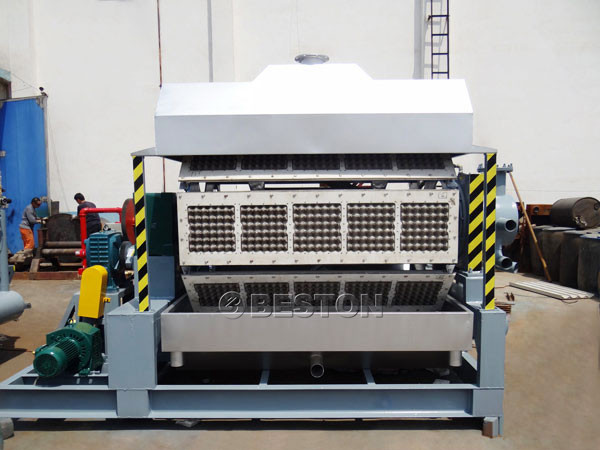 Beston Egg Tray Machine
