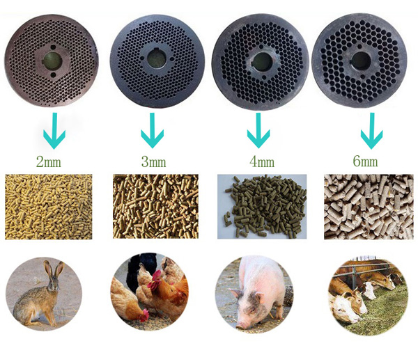 ring die wood pellet machine